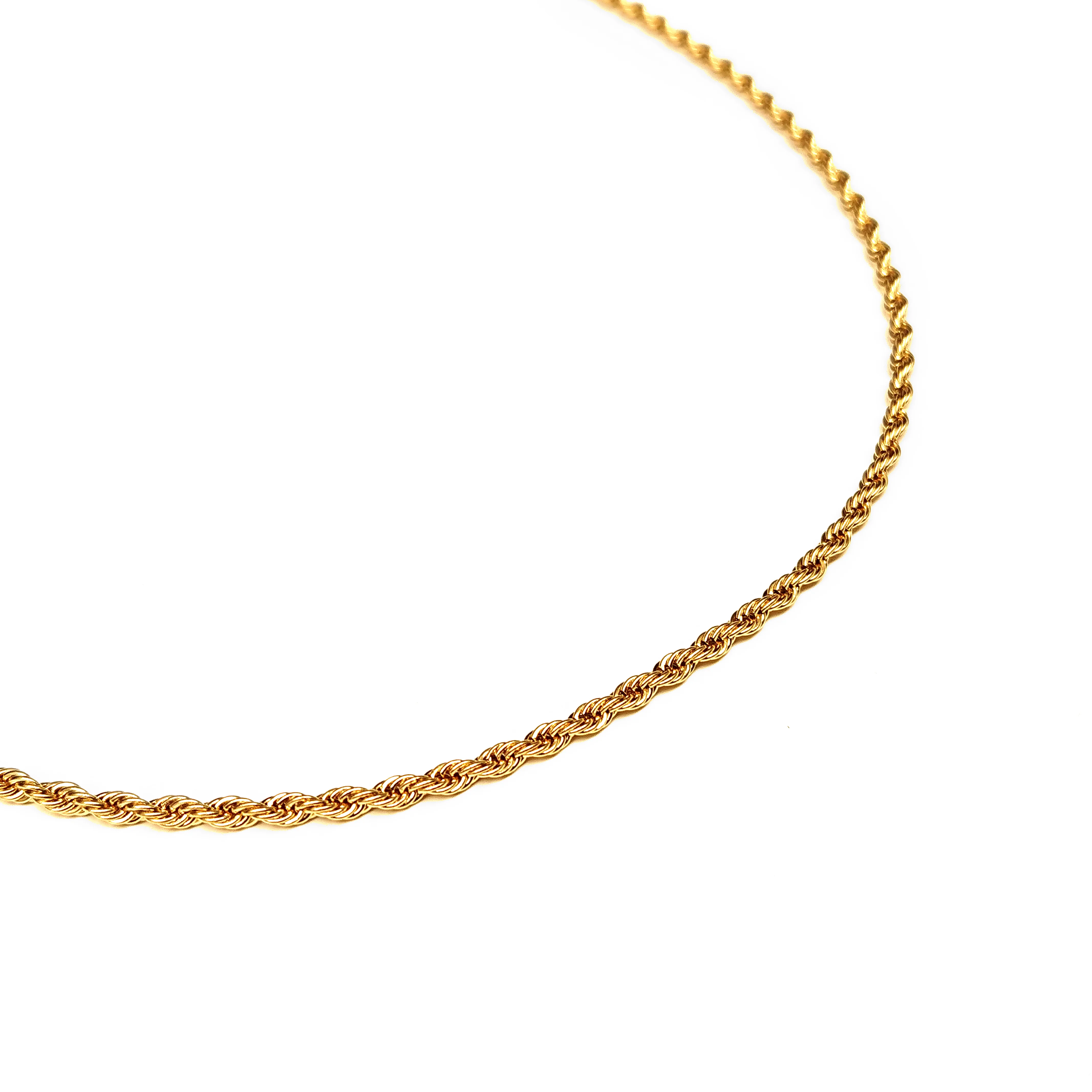 Collar Acero Dorsal - Image 5